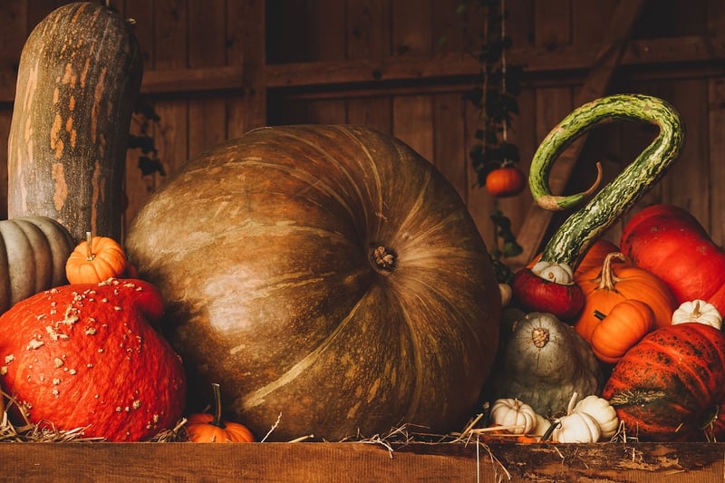 Fruits and Vegetables